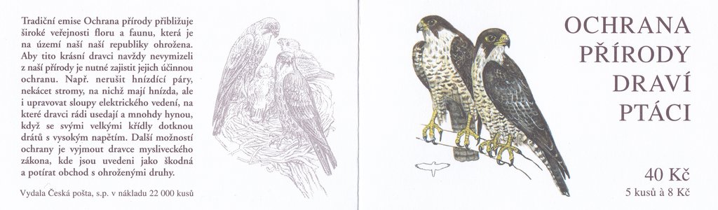 Booklet, Peregrine Falcon (Falco peregrinus), Czech Republic,  , Birds of Prey, Falcons
