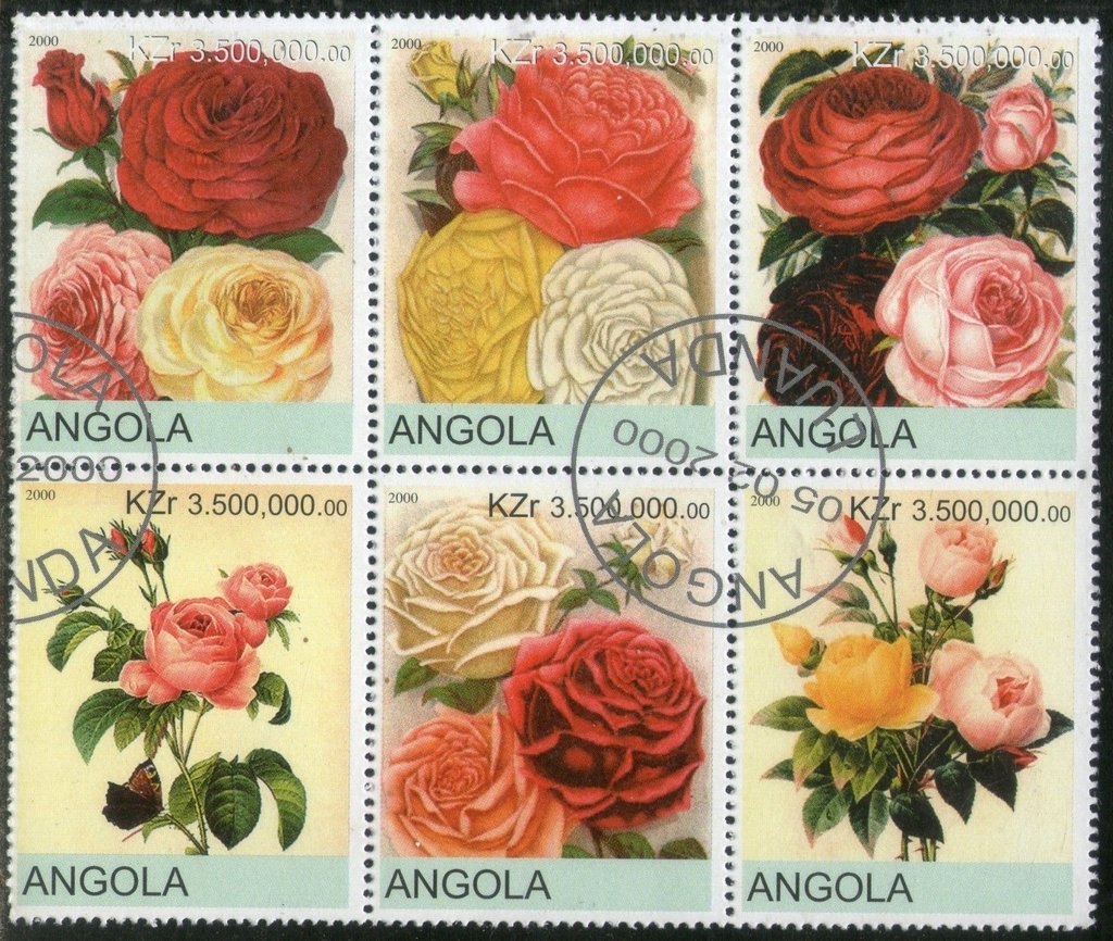 Roses