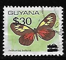 Archonias bellona