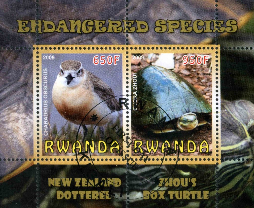 Endangered Species