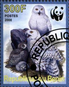 Stamp, Faune de L'Arctique, Cinderellas,  , Animals (Fauna), Birds