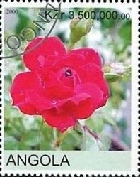 Roses