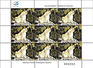 Mini Sheet, Lynx, Albania,  , Animals (Fauna), Cats of Prey, Lynx, Mammals