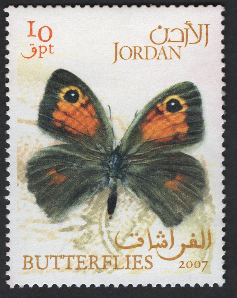 Butterfile