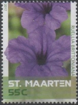 Butterflies, Plants and Views of Sint Maarten