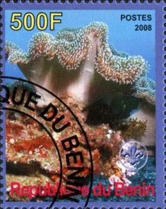 Stamp, Coquillages et Coraux, Cinderellas,  , Animals (Fauna)