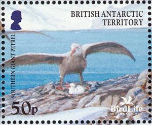 Stamp, Southern Giant Petrel (Macronectes giganteus), British Antarctic Territory (BAT),  , Animals (Fauna), Birds