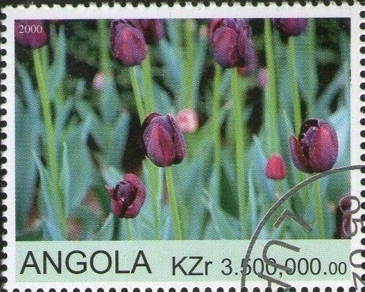 Tulips