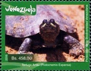 Stamp, Podocnemis expansa, Venezuela,  , Animals (Fauna), Environment Protection, Reptiles, Turtles