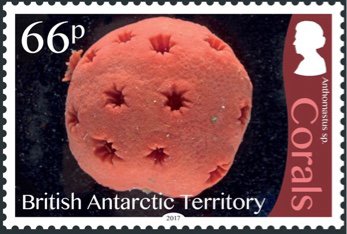 Stamp, Corals, British Antarctic Territory (BAT),  , Corals and Sponges