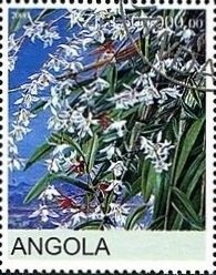 Stamp, Orchids, Cinderellas,  , Flowers, Orchids