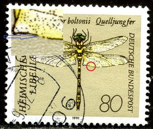 Stamp, Golden-ringed Dragonfly (Cordulegaster boltonii), Germany, Federal Republic,  , Animals (Fauna), Dragonflies, Insects