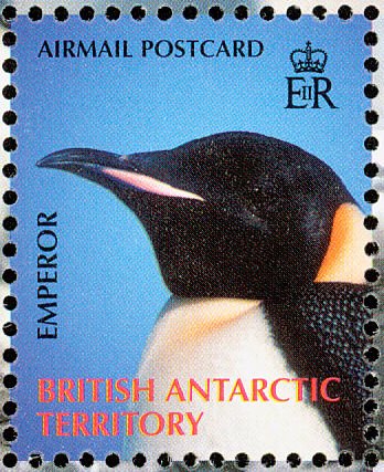 Emperor Penguin (Aptenodytes forsteri)