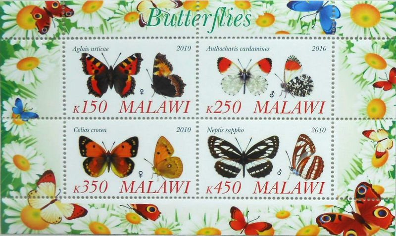 Butterflies