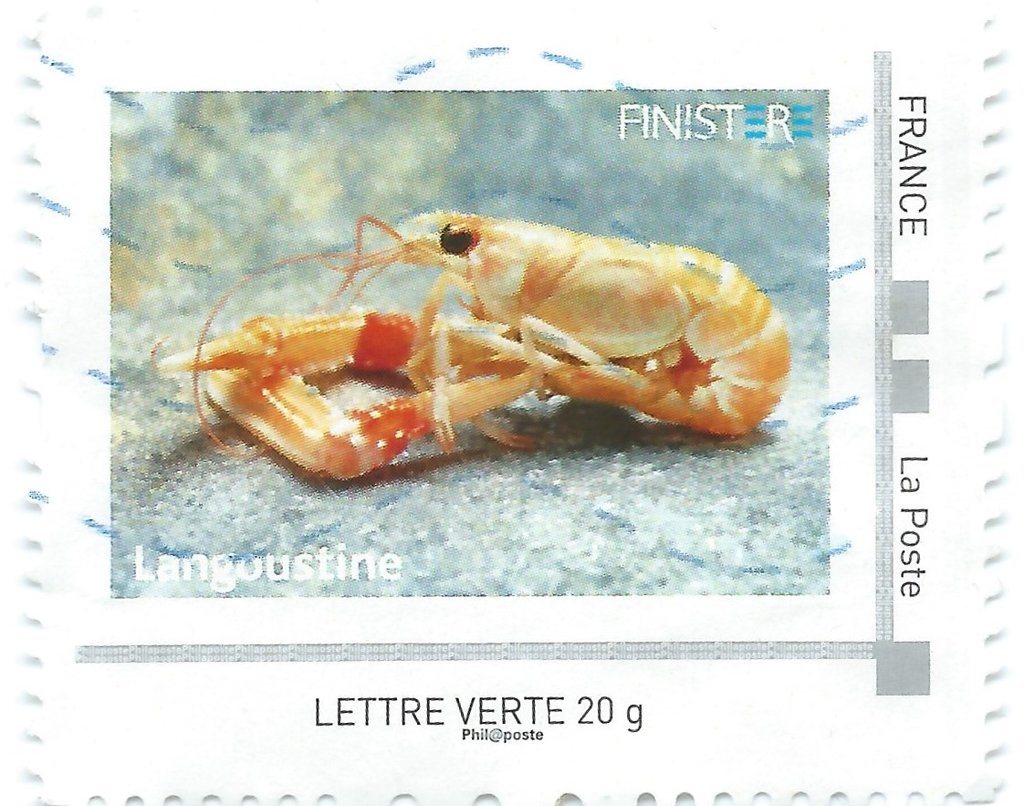Langoustine