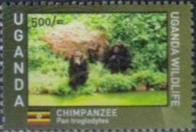 Ugandan Wildlife : Primates