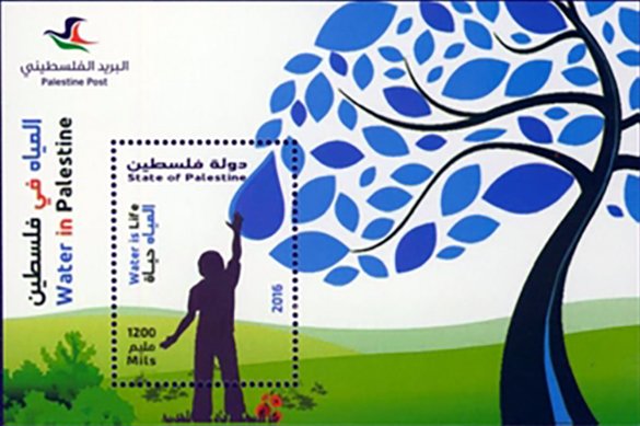 The Importance of Water