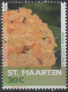 Butterflies, Plants and Views of Sint Maarten