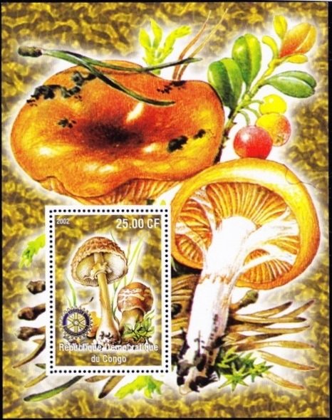 Mushrooms