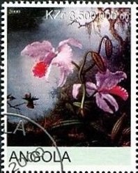 Orchids