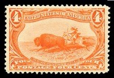 Buffalo (Bison bison), Hunted by Indians
