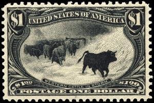 Cattle (Bos primigenius taurus) in Storm