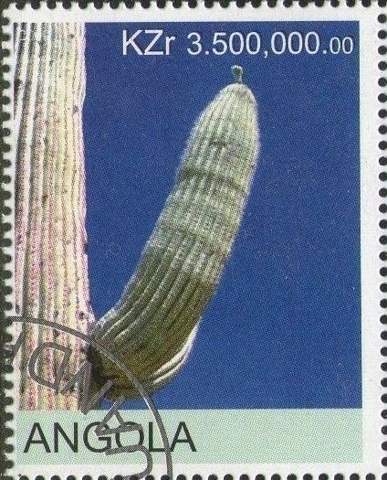 Cactus