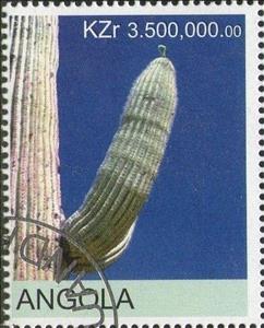 Stamp, Cactus, Cinderellas,  , Cacti, Plants (Flora)