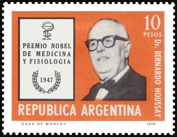Dr. Bernardo Houssay (medicine)