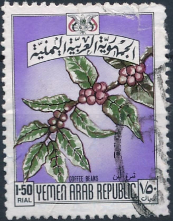 Branch of a coffee shrub