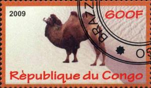 Stamp, Camel, Cinderellas,  , Animals (Fauna), Camels