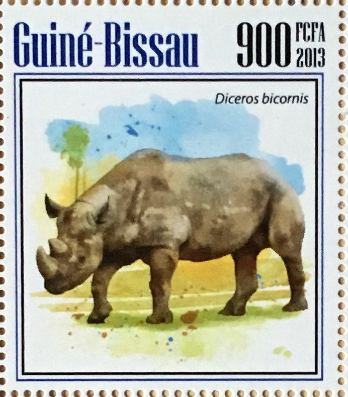 Rhinoceros