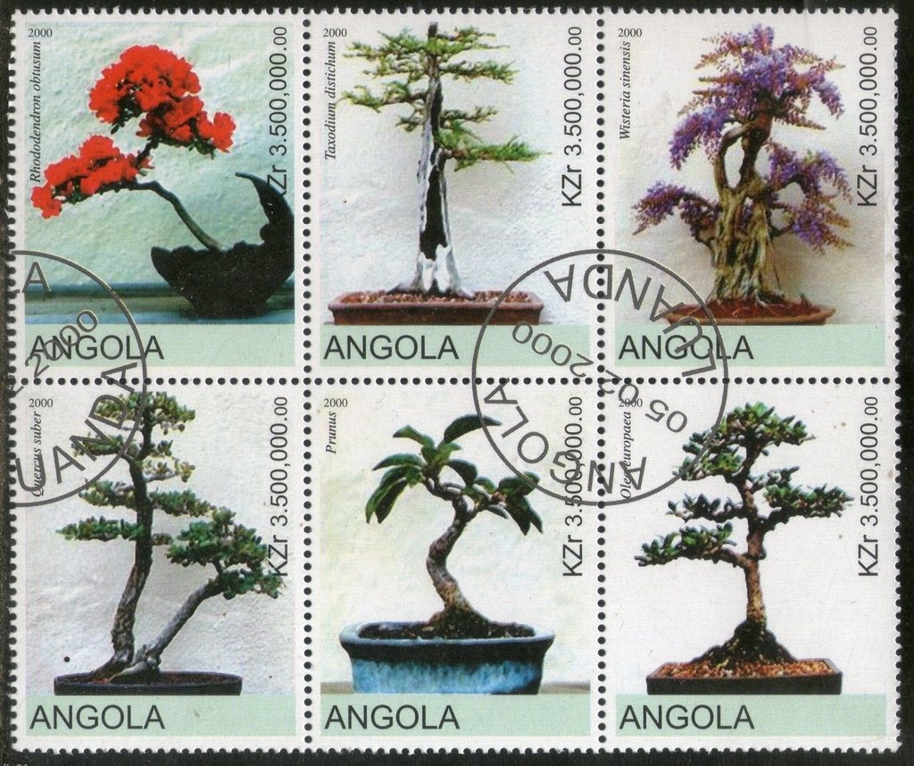 Bonsai trees