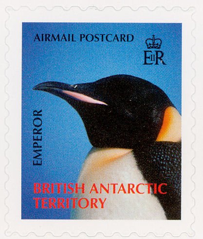 Emperor Penguin (Aptenodytes forsteri)