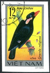 Stamp, Common Hill Myna (Gracula religiosa), Vietnam,  , Animals (Fauna), Birds