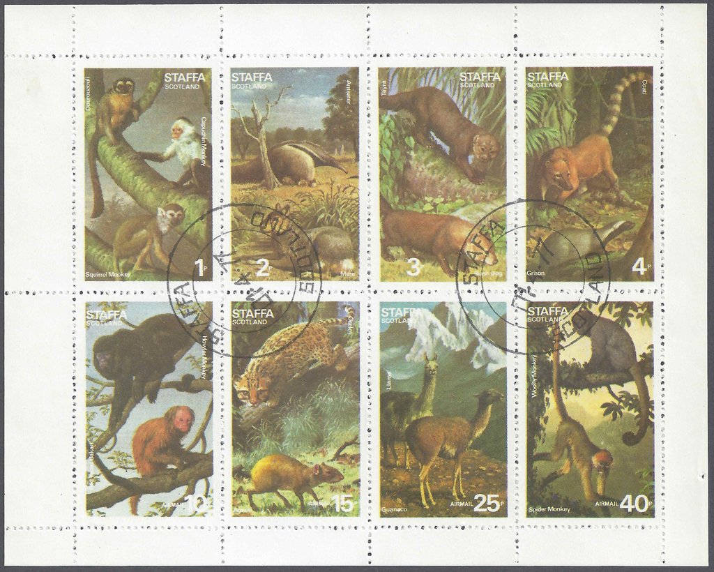 Mammals, Animals