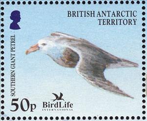 Stamp, Southern Giant Petrel (Macronectes giganteus), British Antarctic Territory (BAT),  , Animals (Fauna), Birds