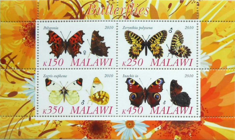 Butterfies