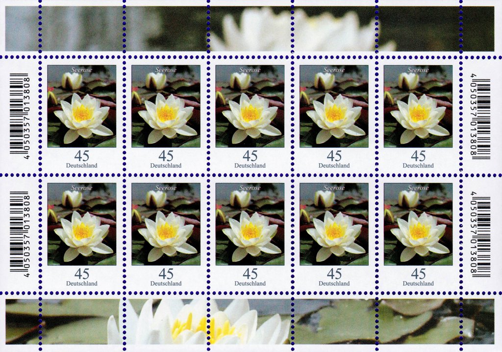 Flowers - Nymphaea alba