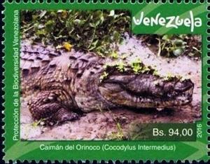 Stamp, Crocodylus intermedius, Venezuela,  , Animals (Fauna), Crocodiles, Environment Protection, Reptiles