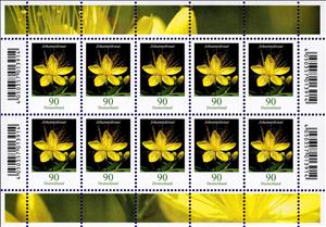 Mini Sheet, Flowers - Hypericum hircinum, Germany, Federal Republic,  , Flowers, Plants (Flora)