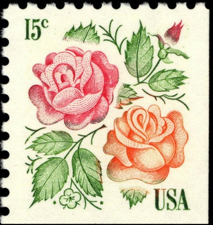 Roses