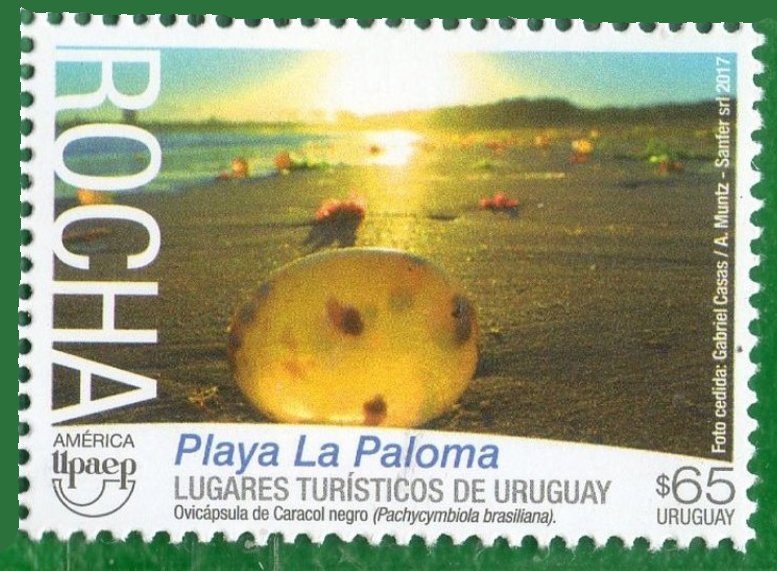 La Paloma Beach