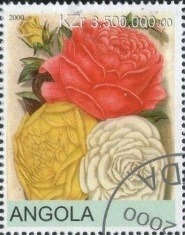 Roses