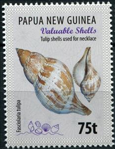 Stamp, Tulip shells used for necklace, Papua New Guinea,  , Animals (Fauna), Molluscs, Sea Life, Shells