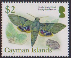 Stamp, Gaudy Sphinx Moth, Cayman Islands,  , Animals (Fauna), Butterflies, Insects