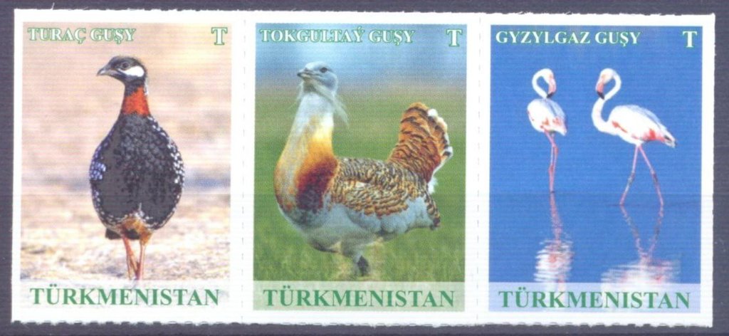 Wildlife Of Turkmenistan
