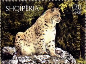 Stamp, Lynx, Albania,  , Animals (Fauna), Cats of Prey, Lynx, Mammals