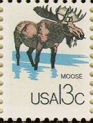 Moose (Alces alces)