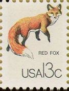 Red Fox (Vulpes vulpes)